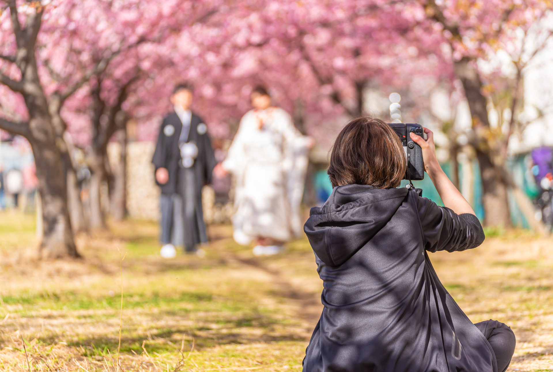 イベント